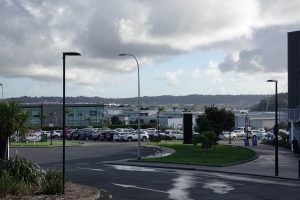 SEO Specialists in Rosedale, North Shore, Auckland - Image in Rosedale Auckland