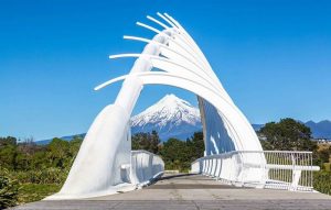 New Plymouth With Mt Taranaki View