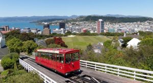 SEO Services Wellington