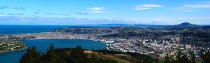 Dunedin Panorama from Opoho - SEO experts Dunedin