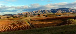 Marlborough Landscape