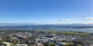 SEO Company in Nelson - Aerial View of Nelson, South Island, New Zealand