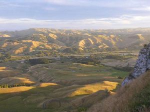 SEO Agency in Hawkes Bay - Te Mata Peak, Hastings, Hawkes Bay, NZ