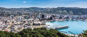 Wellington Aerial View