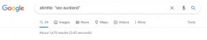 SEO Auckland - Title Search