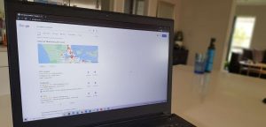 Local SEO Services in Auckland