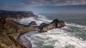 West Auckland SEO Experts - Image of West Auckland, New Zealand