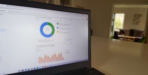 Local SEO Services New Zealand