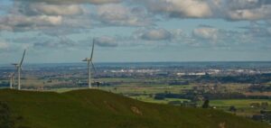 Palmerston North Saddle Road - Google Ads Consultant