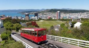 Google Ads Expert in Wellington, New Zealand