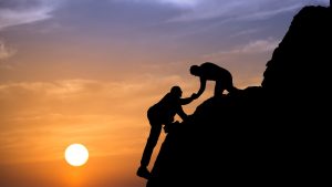 SEO Services for Brand New Businesses Auckland